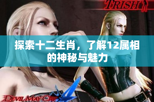 探索十二生肖，了解12属相的神秘与魅力