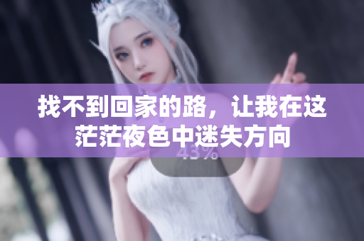 找不到回家的路，让我在这茫茫夜色中迷失方向