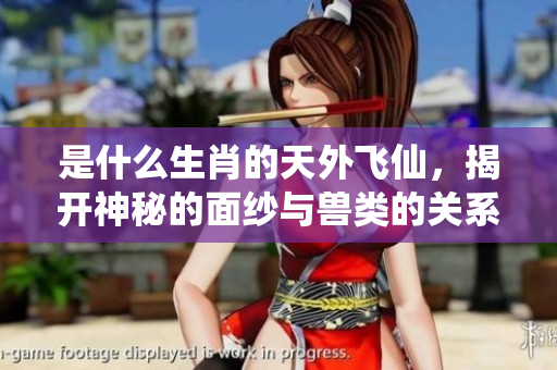 是什么生肖的天外飞仙，揭开神秘的面纱与兽类的关系